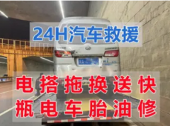 发电机电瓶 应急柜电源电瓶 UPS电池 矿山防爆电池更换